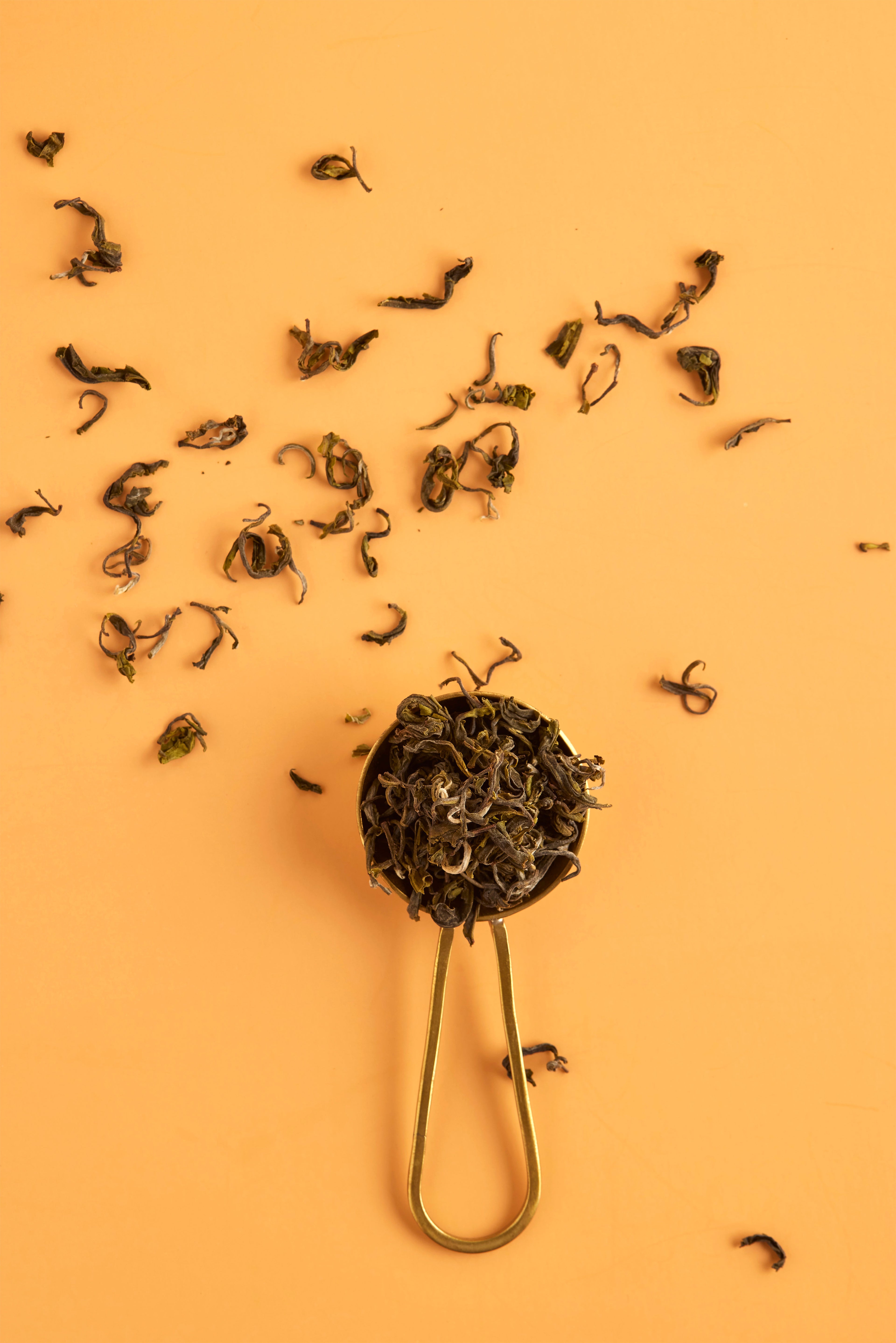 Hand Picked Fine Mountain Teas