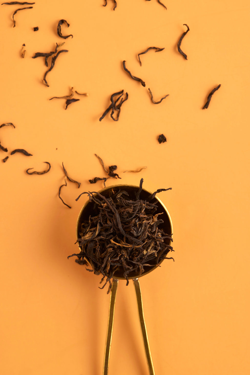 Hand Picked Fine Mountain Teas